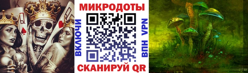 закладки  Елизово  Галлюциногенные грибы MAGIC MUSHROOMS 